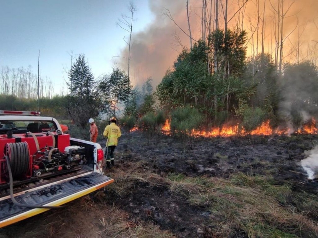 Día de la Prevención de Incendios Forestales