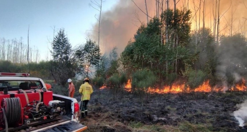 Día de la Prevención de Incendios Forestales